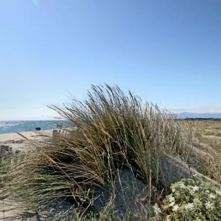Maison Jardin Wifi - Climatisation - 100 M Sauvage - 20 Min Perpignan * Torreilles